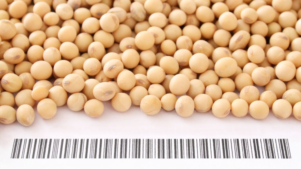 Image of soybeans and a barcode at the bottom
