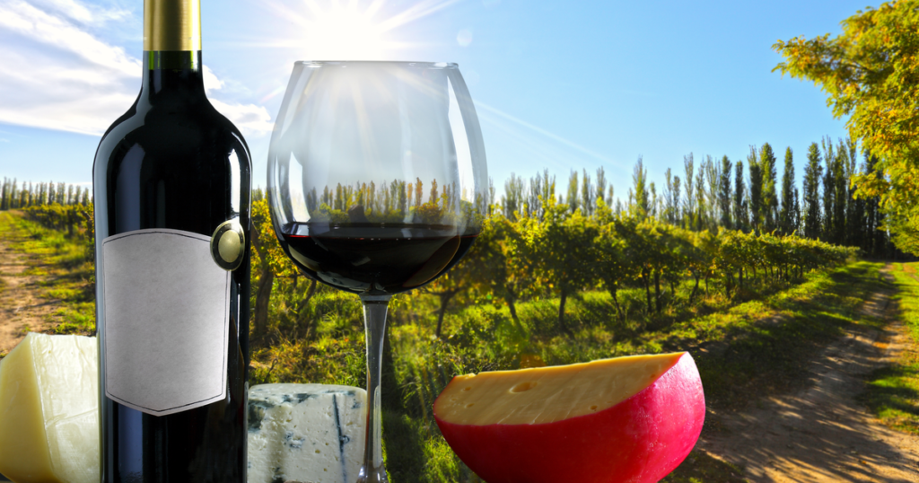 Food & Beverage Industry – Bottle of wine with glass and cheese