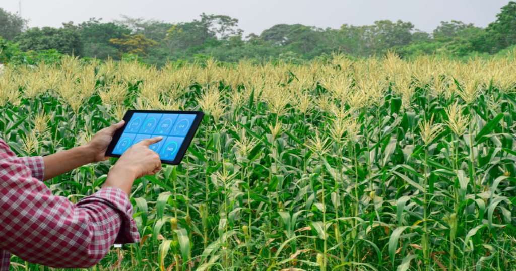 Farmers use digital tablets to access BI (Business Intelligence) in the fields