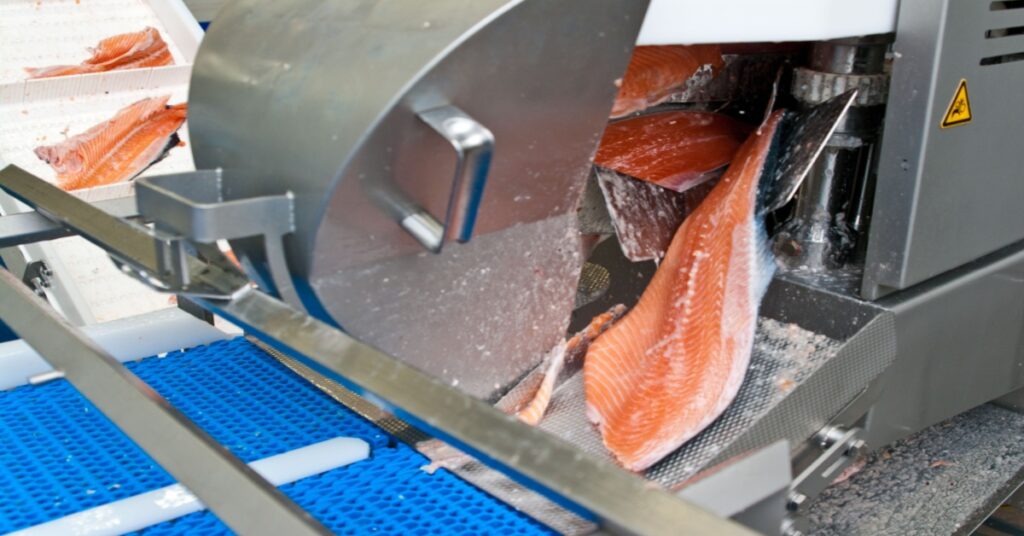 The detail of a fish salmon factory, processing line - Catchweight management