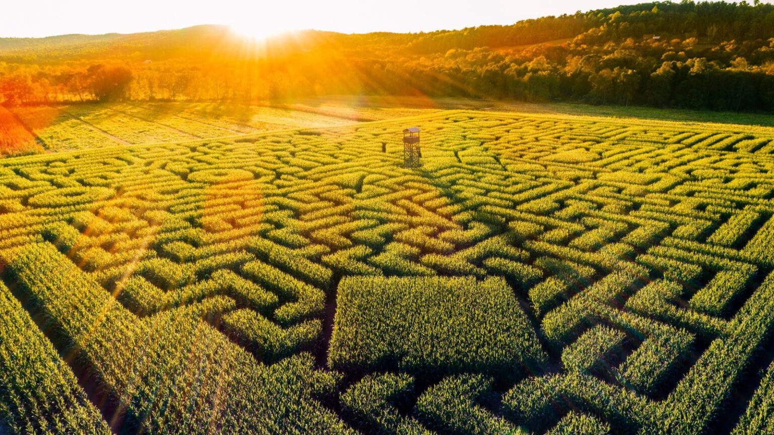 Understanding Microsoft Licensing – Navigating the Maze – Liberty Grove ...